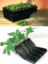 Rootrainers - Deep (12cm) - 2 Kits